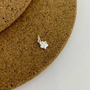 dije huella mini lisa