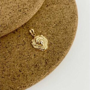 dije cara de león tallada